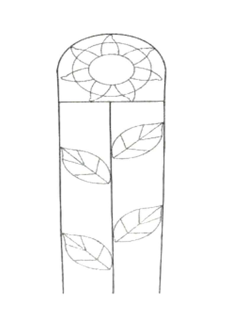 TRELLIS