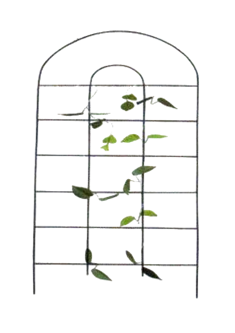 TRELLIS