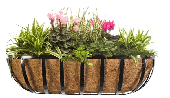 Trough Planters
