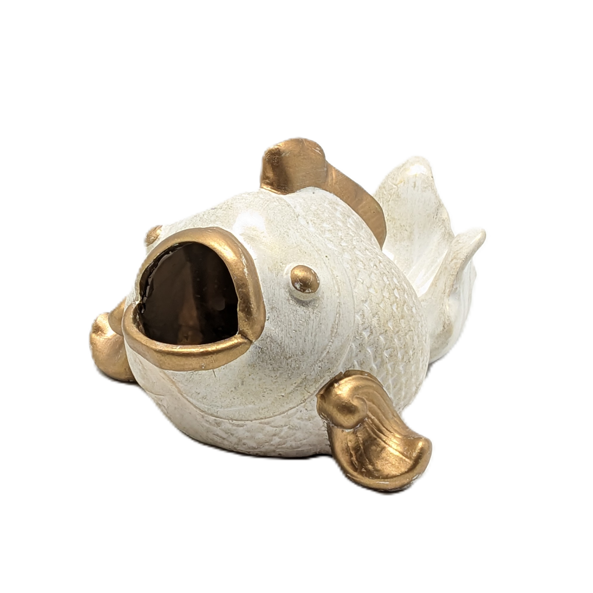 Ornamental Fish